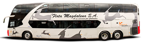 bus gacela doble premium