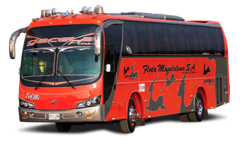 gacela pluss