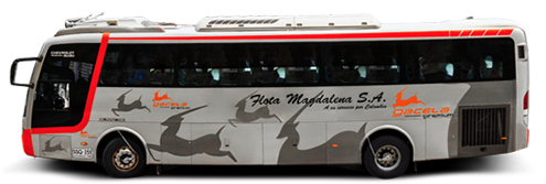 gacela premium