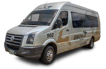 gacela vip